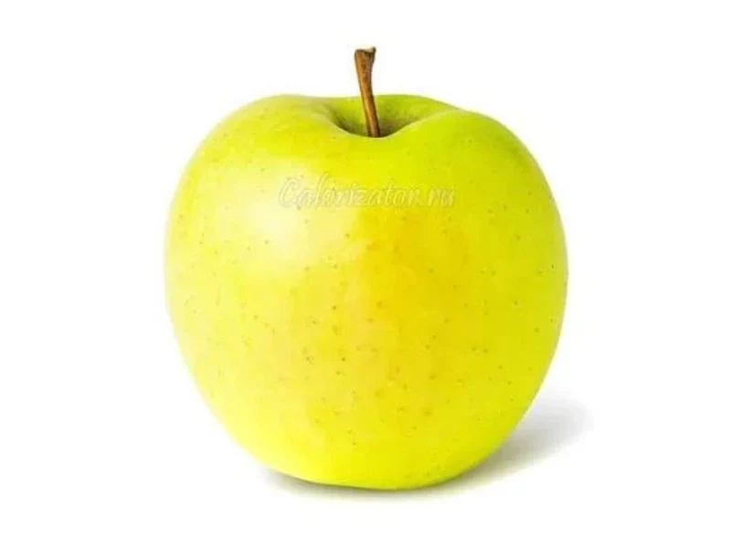 Яблоко